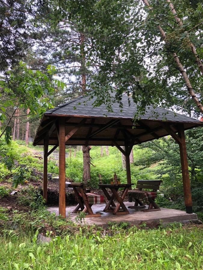 Veselica Villa Divčibare Kültér fotó
